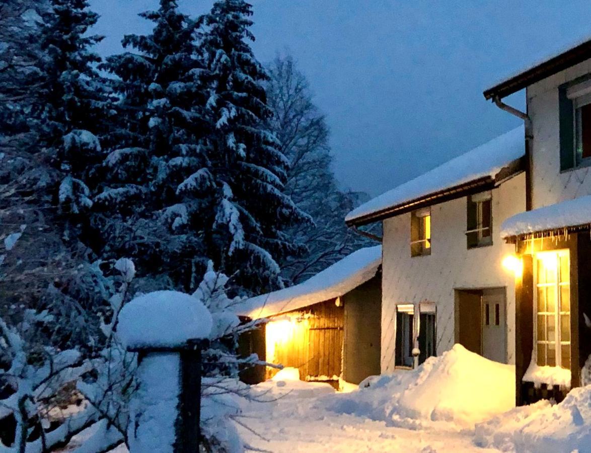 Gite Les Trois Pierres, Proche De Gerardmer Villa Liézey Exteriör bild