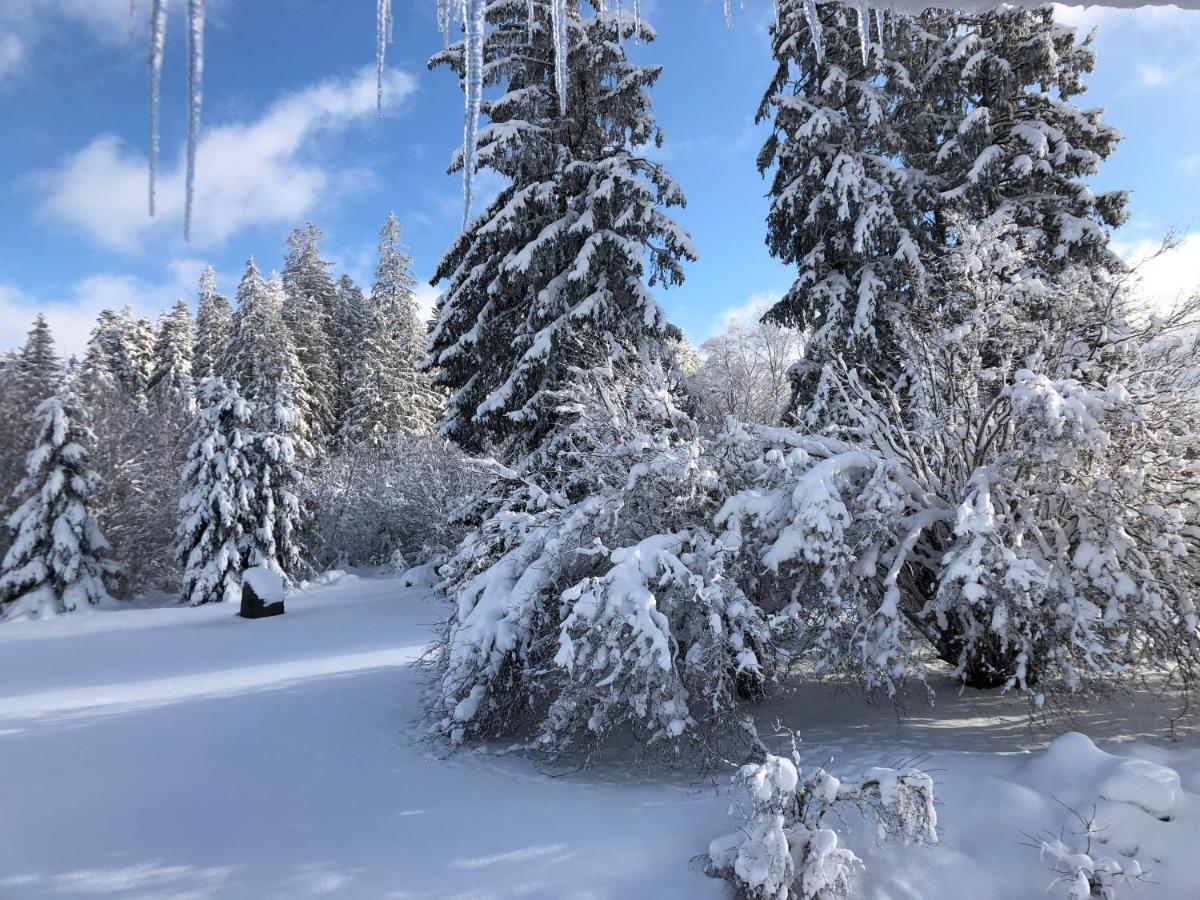 Gite Les Trois Pierres, Proche De Gerardmer Villa Liézey Exteriör bild