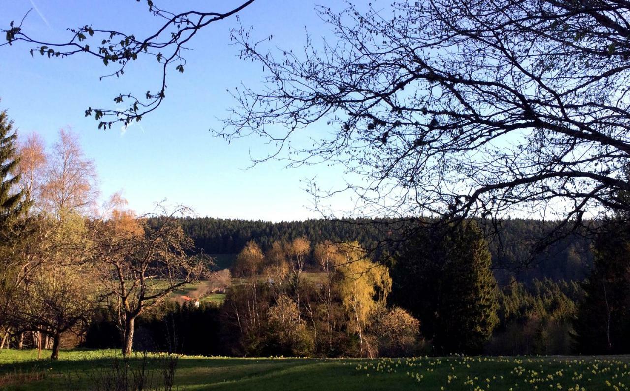 Gite Les Trois Pierres, Proche De Gerardmer Villa Liézey Exteriör bild